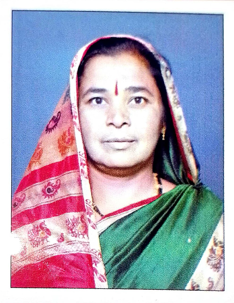 सदस्य